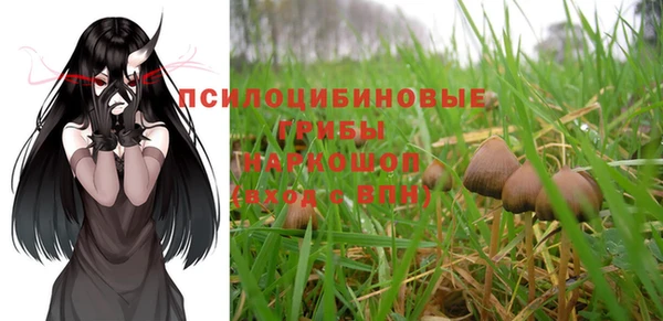 стафф Лихославль
