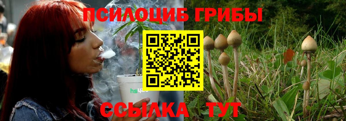 Псилоцибиновые грибы мухоморы  Галлюциногенные грибы MAGIC MUSHROOMS  Магнитогорск  Вход с VPN 